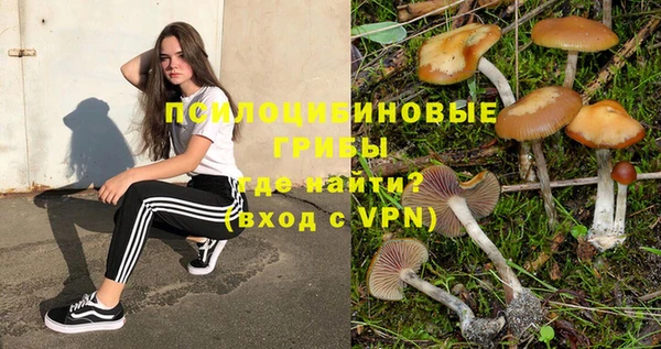 дмт Зеленокумск