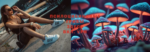 дмт Зеленокумск
