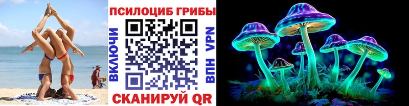 Псилоцибиновые грибы Psilocybine cubensis Дигора